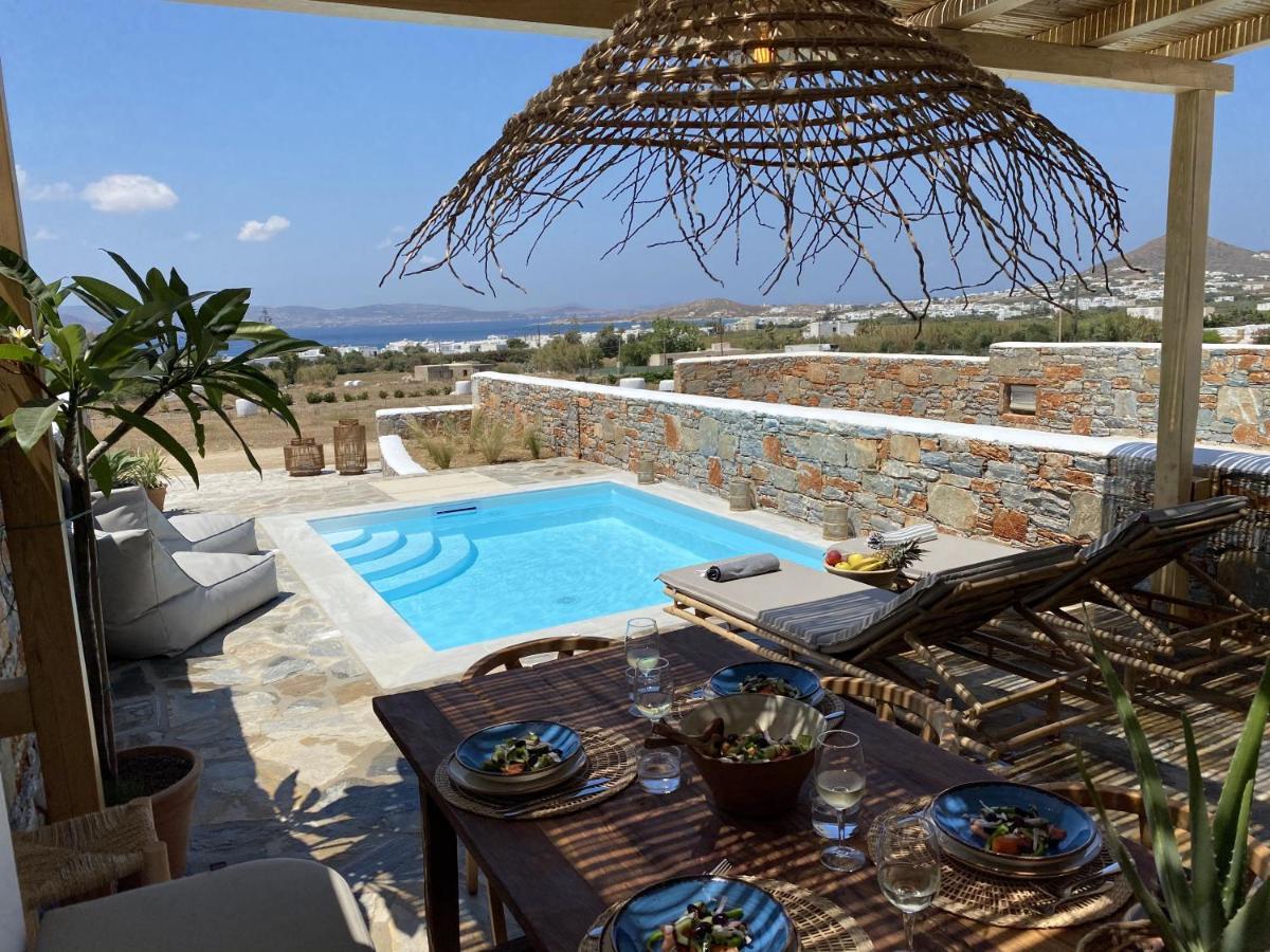 Villa Ypsilon Naxos - Luxury Holiday House With Amazing Sea View & Private Pool Αγία Άννα Εξωτερικό φωτογραφία
