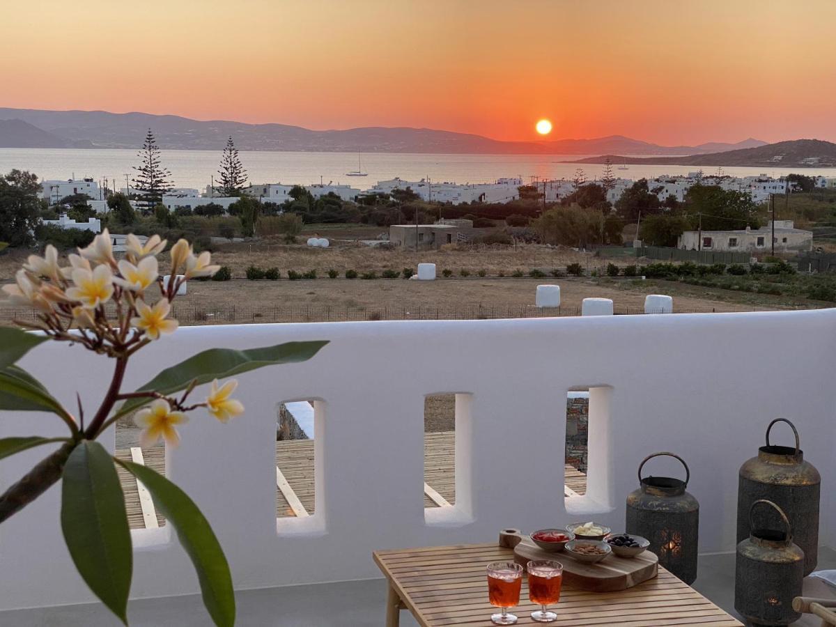Villa Ypsilon Naxos - Luxury Holiday House With Amazing Sea View & Private Pool Αγία Άννα Εξωτερικό φωτογραφία